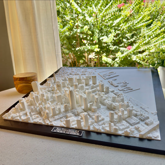 San Fransico 3D City Model