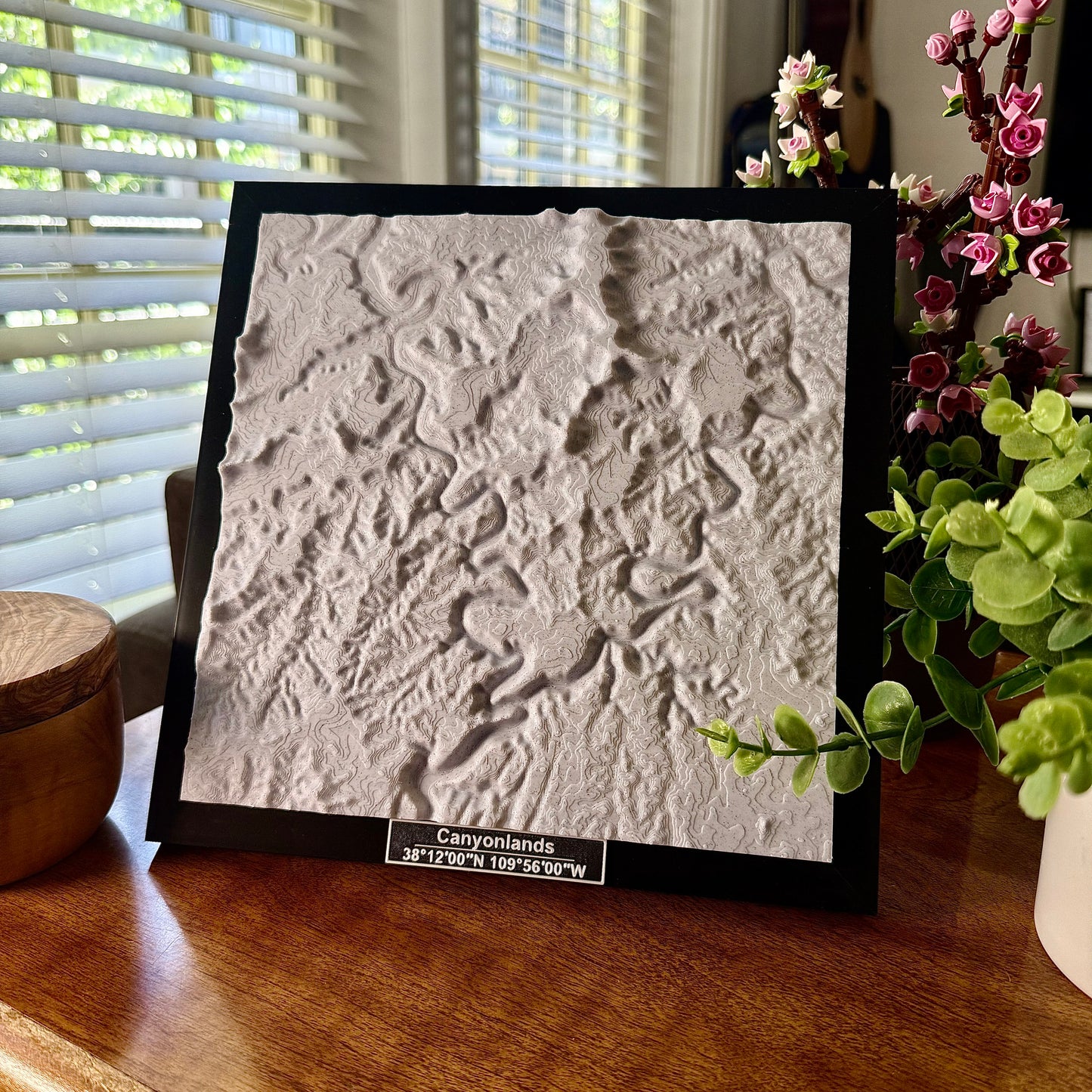 Canyonlands National Park 3D Topographic Model