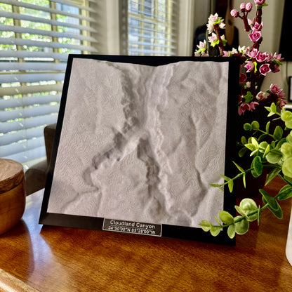 Cloudland Canyon State Park 3D Topographic Model