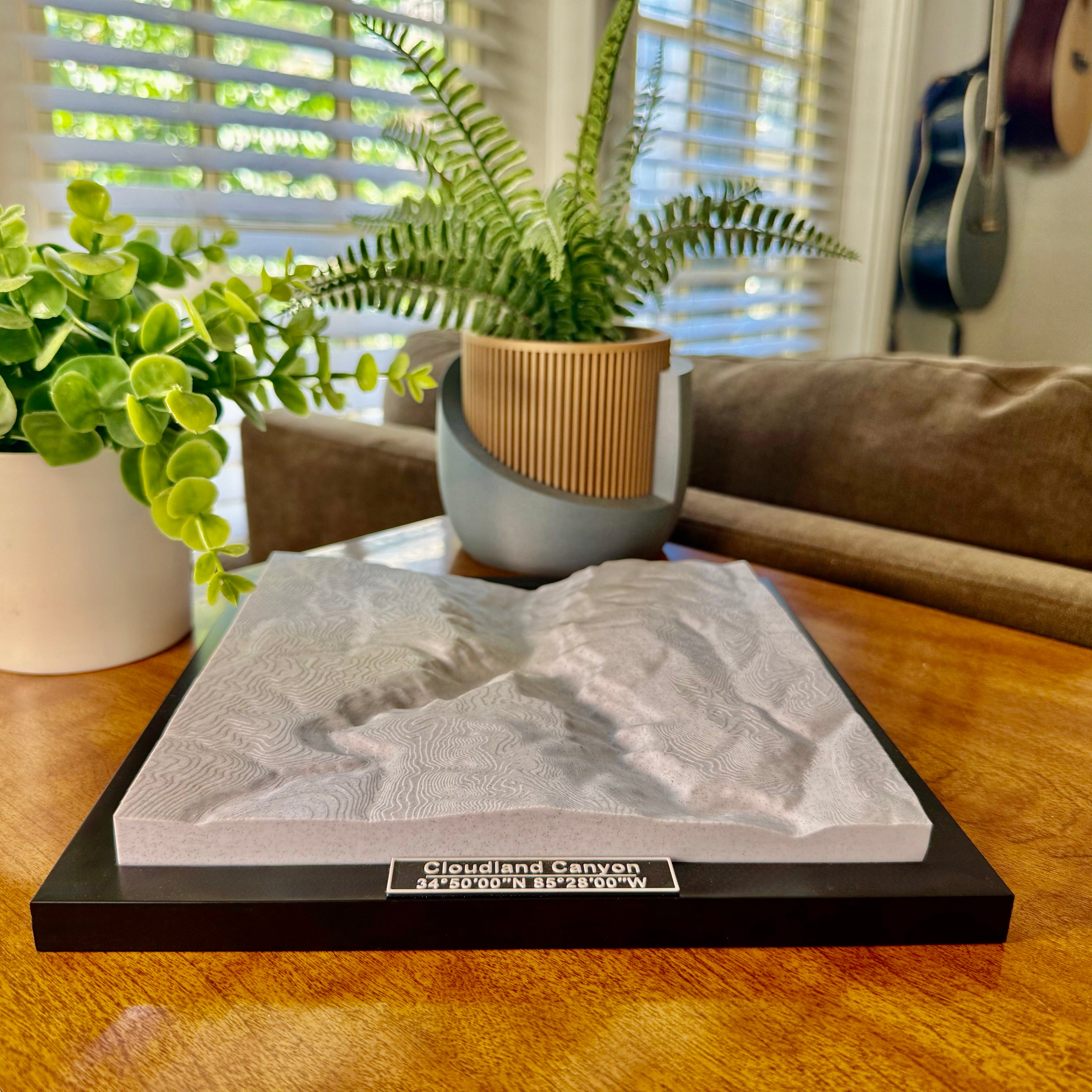 Cloudland Canyon State Park 3D Topographic Model