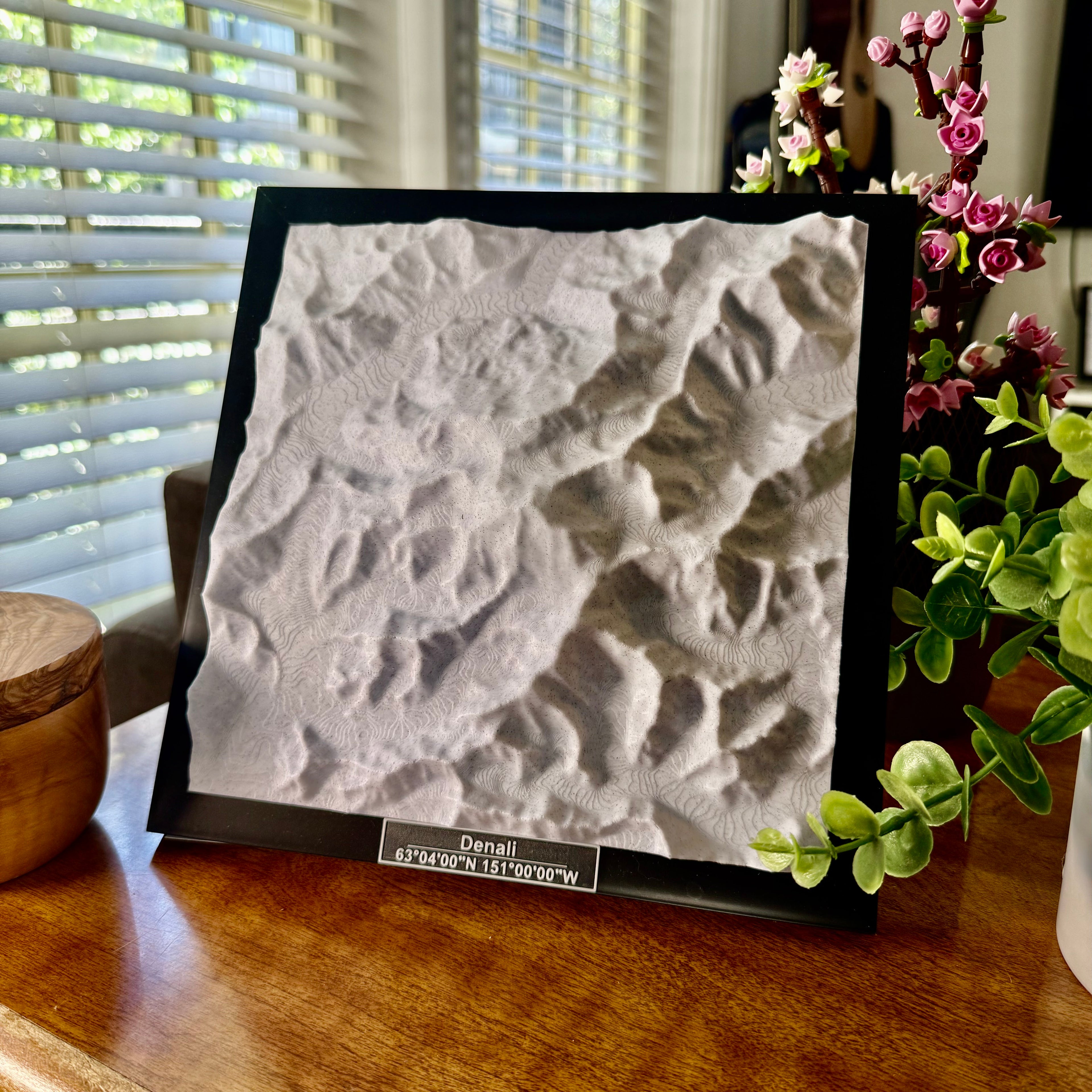 Denali National Park 3D Topographic Model