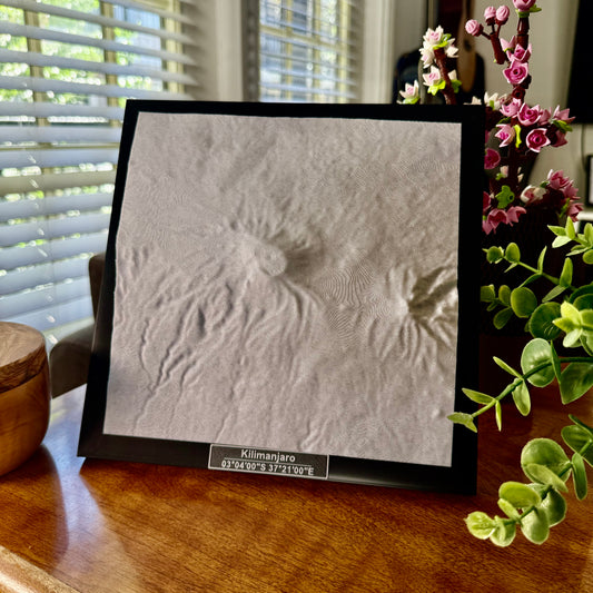 Mount Kilimanjaro National Park 3D Topographic Model