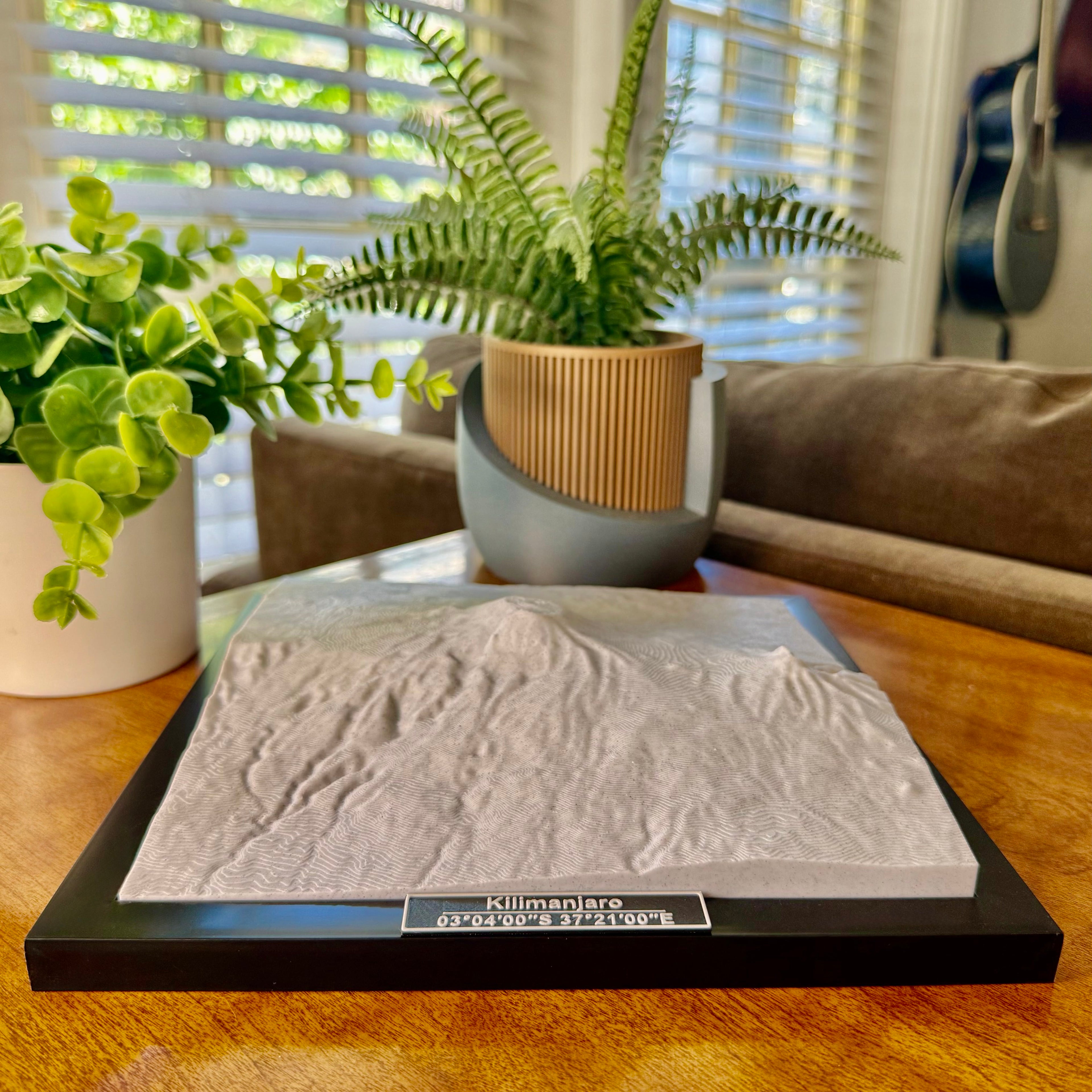 Mount Kilimanjaro National Park 3D Topographic Model