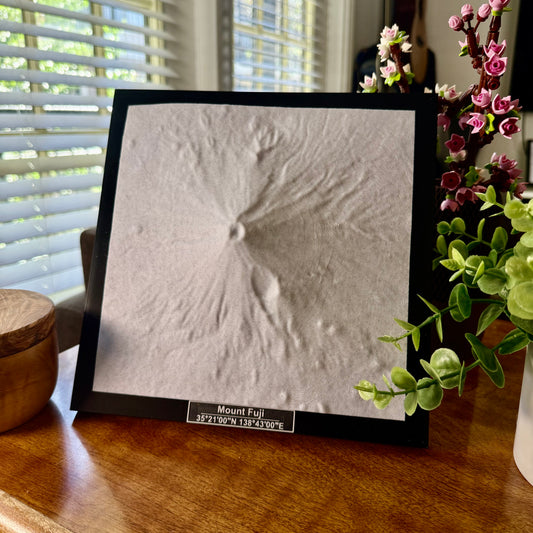 Mount Fuji National Park 3D Topographic Model