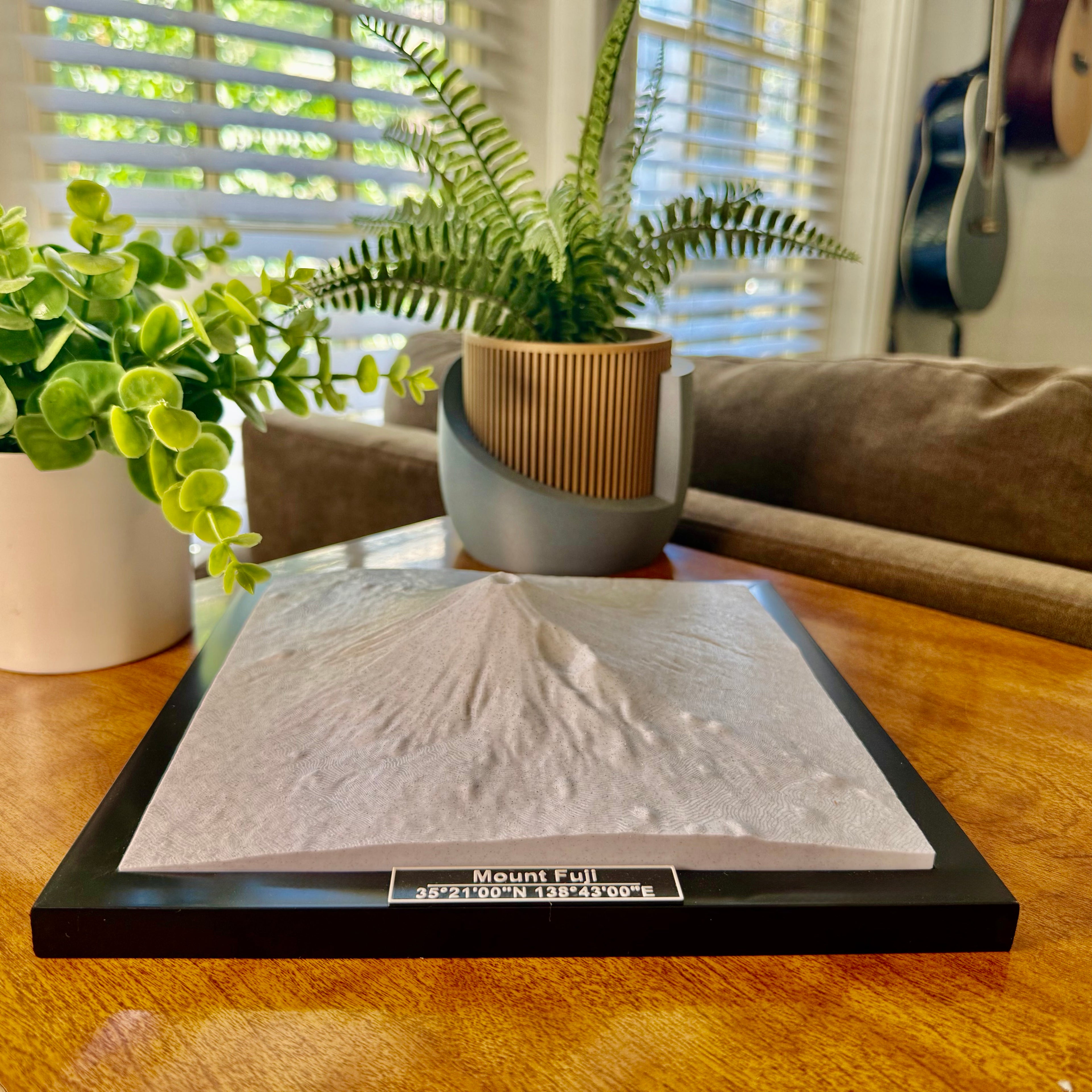 Mount Fuji National Park 3D Topographic Model