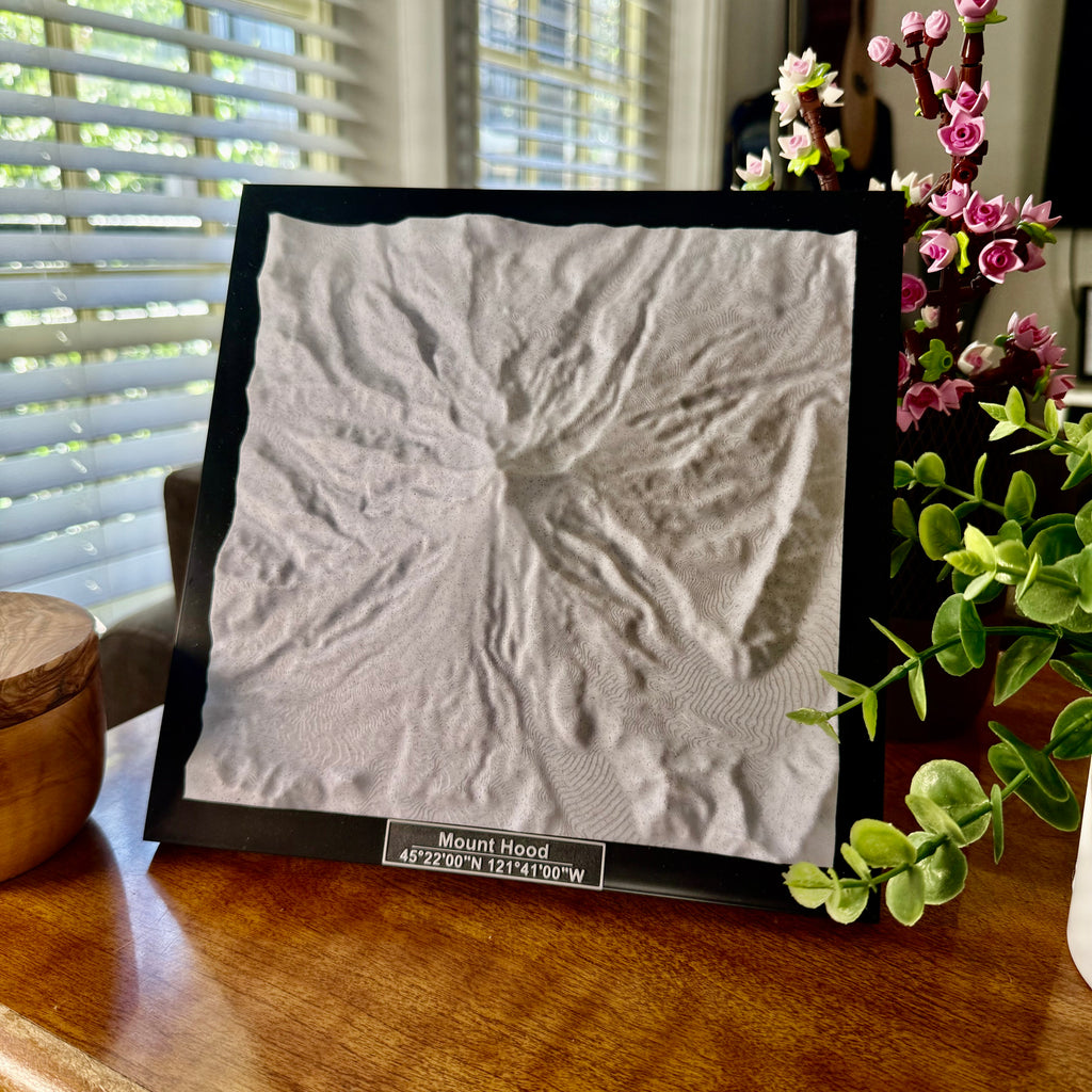 Mount Hood National Forest 3D Topographic Model