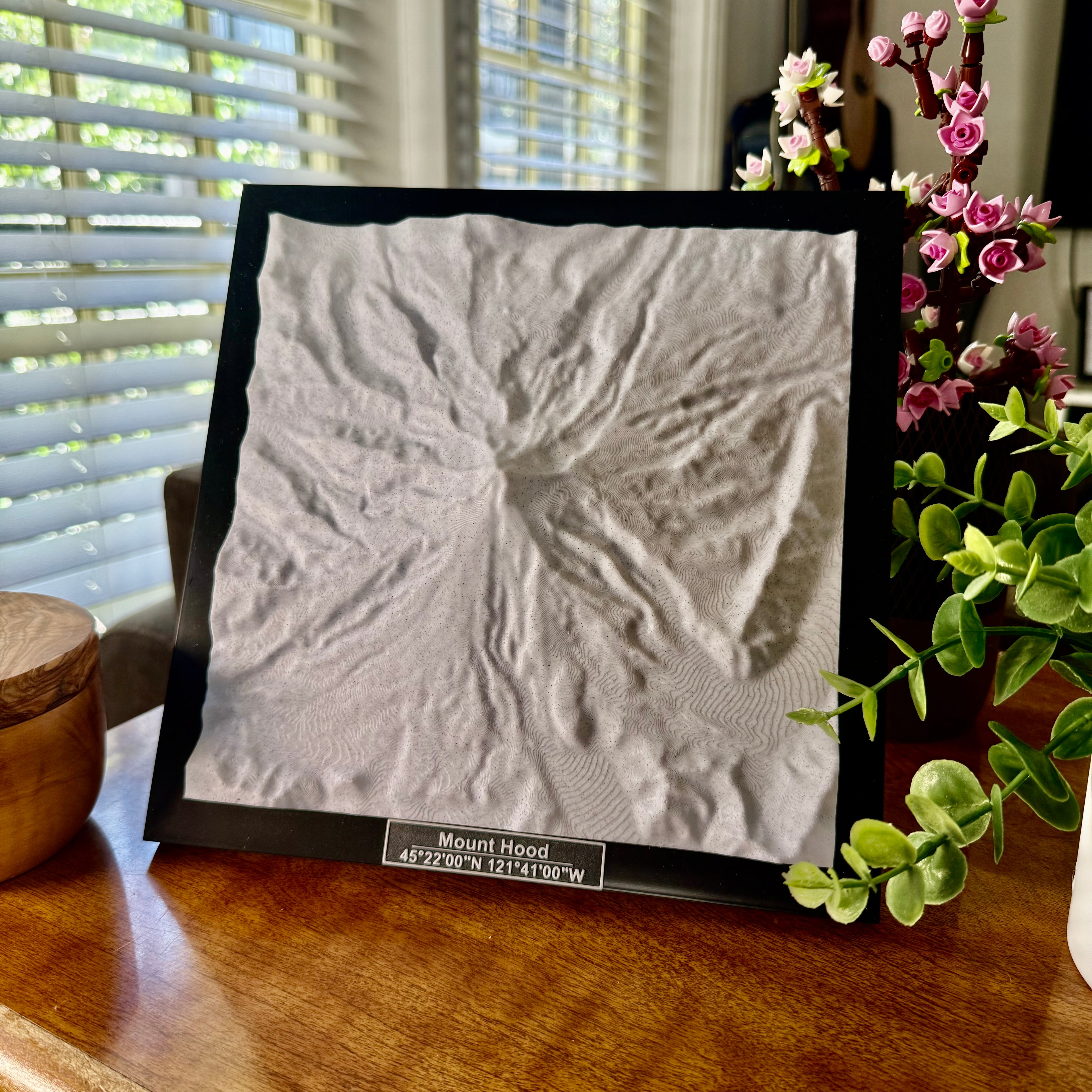 Mount Hood National Forest 3D Topographic Model