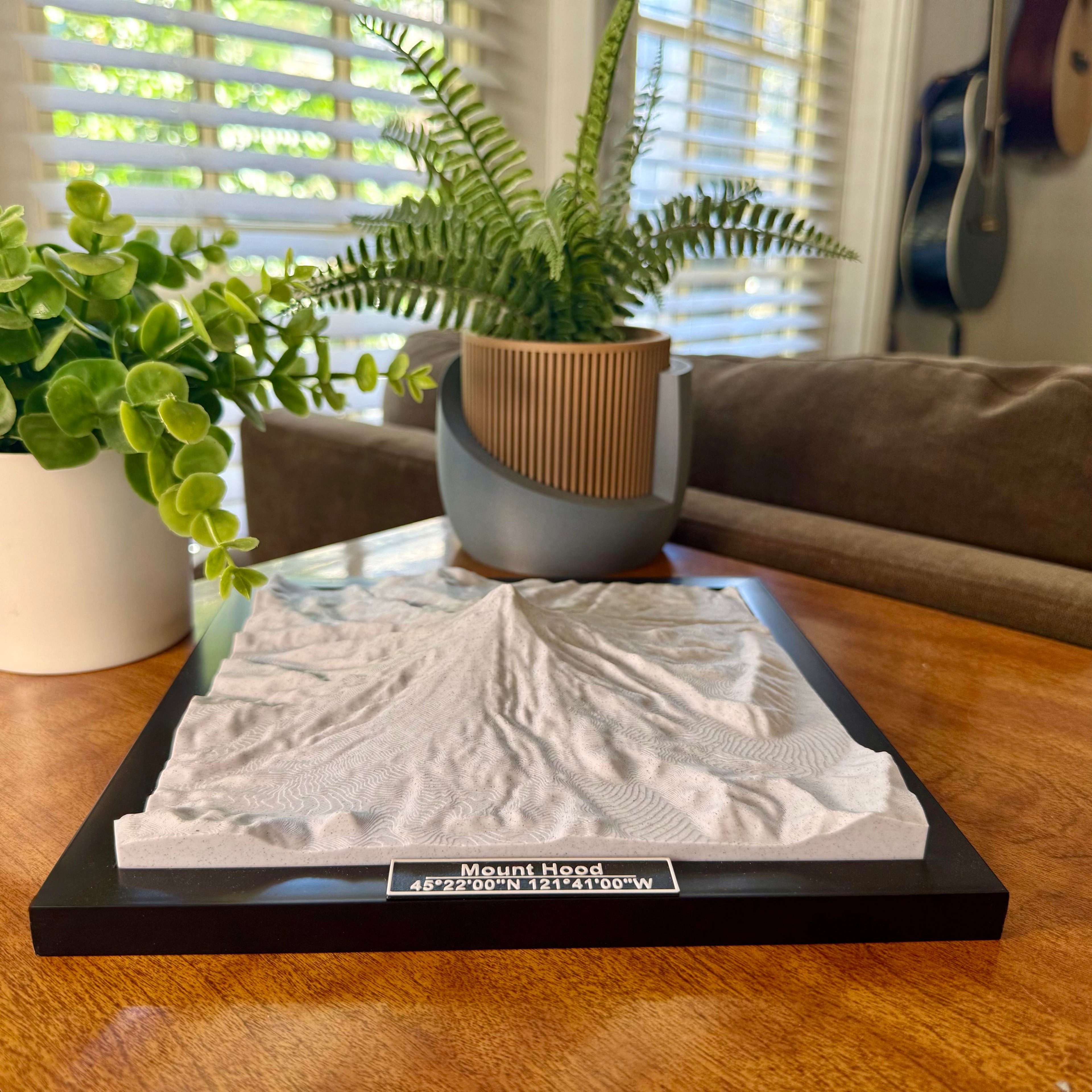 Mount Hood National Forest 3D Topographic Model