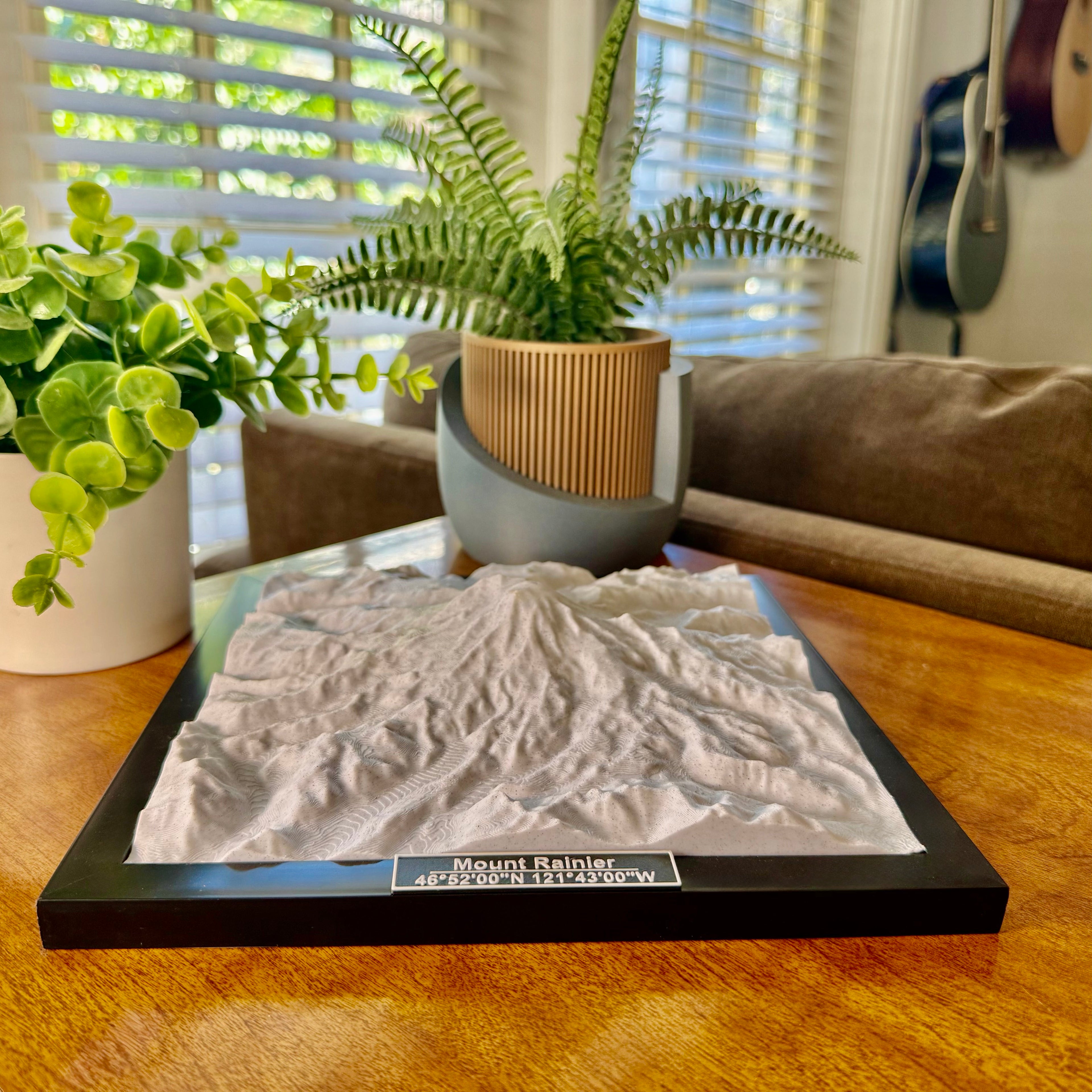 Mount Rainer National Park 3D Topographic Model