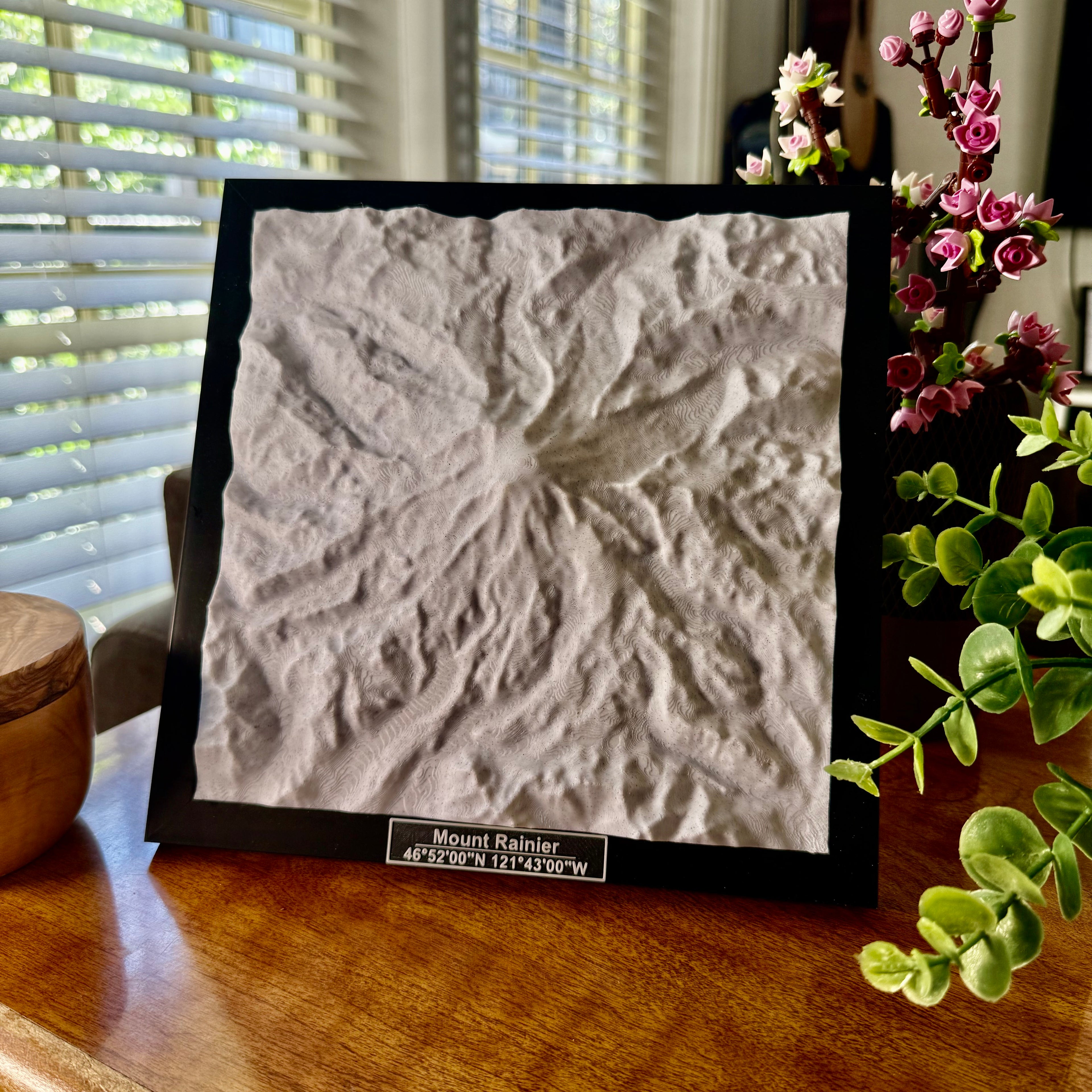 Mount Rainer National Park 3D Topographic Model