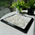 New York 3D City Model