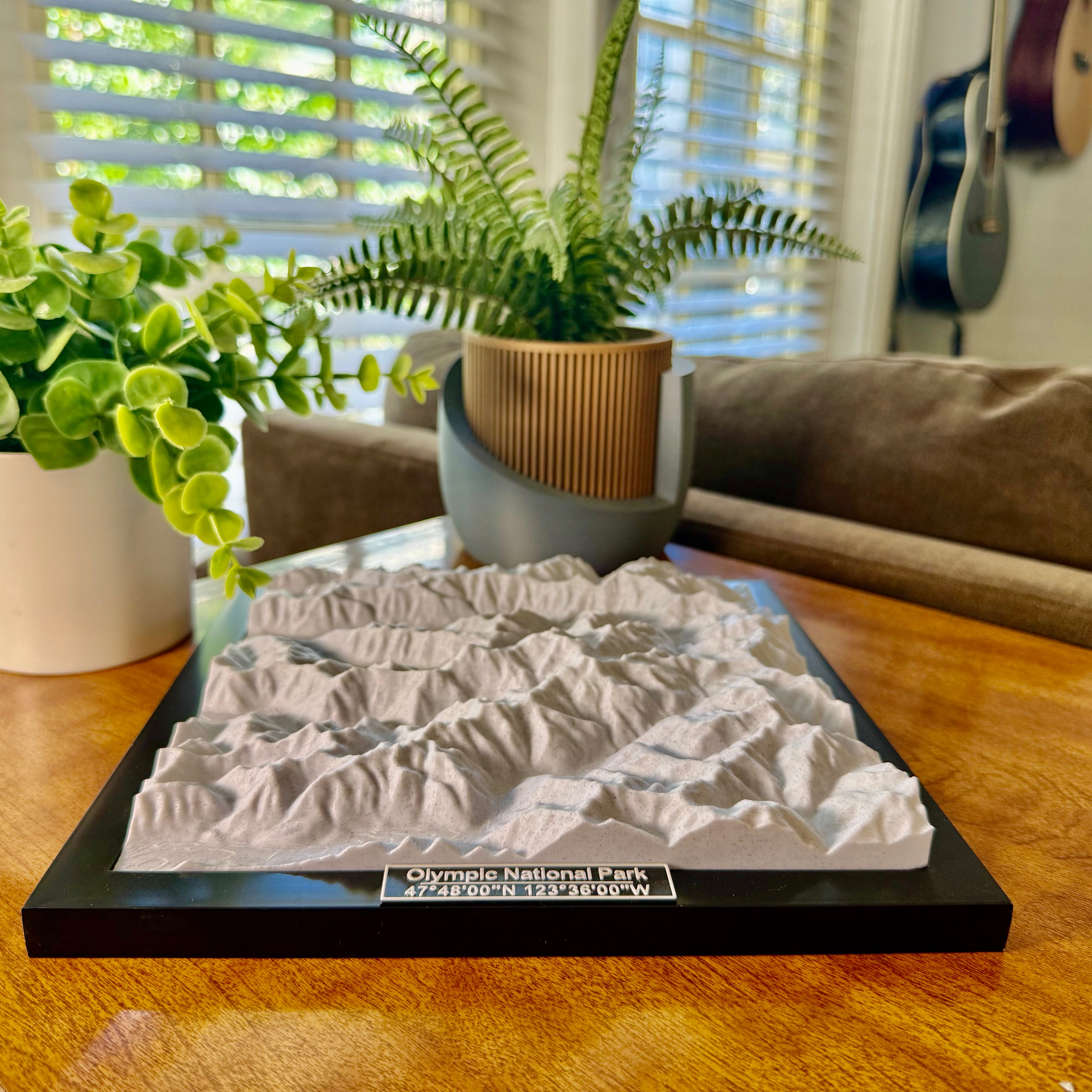 Olympic National Park 3D Topographic Model