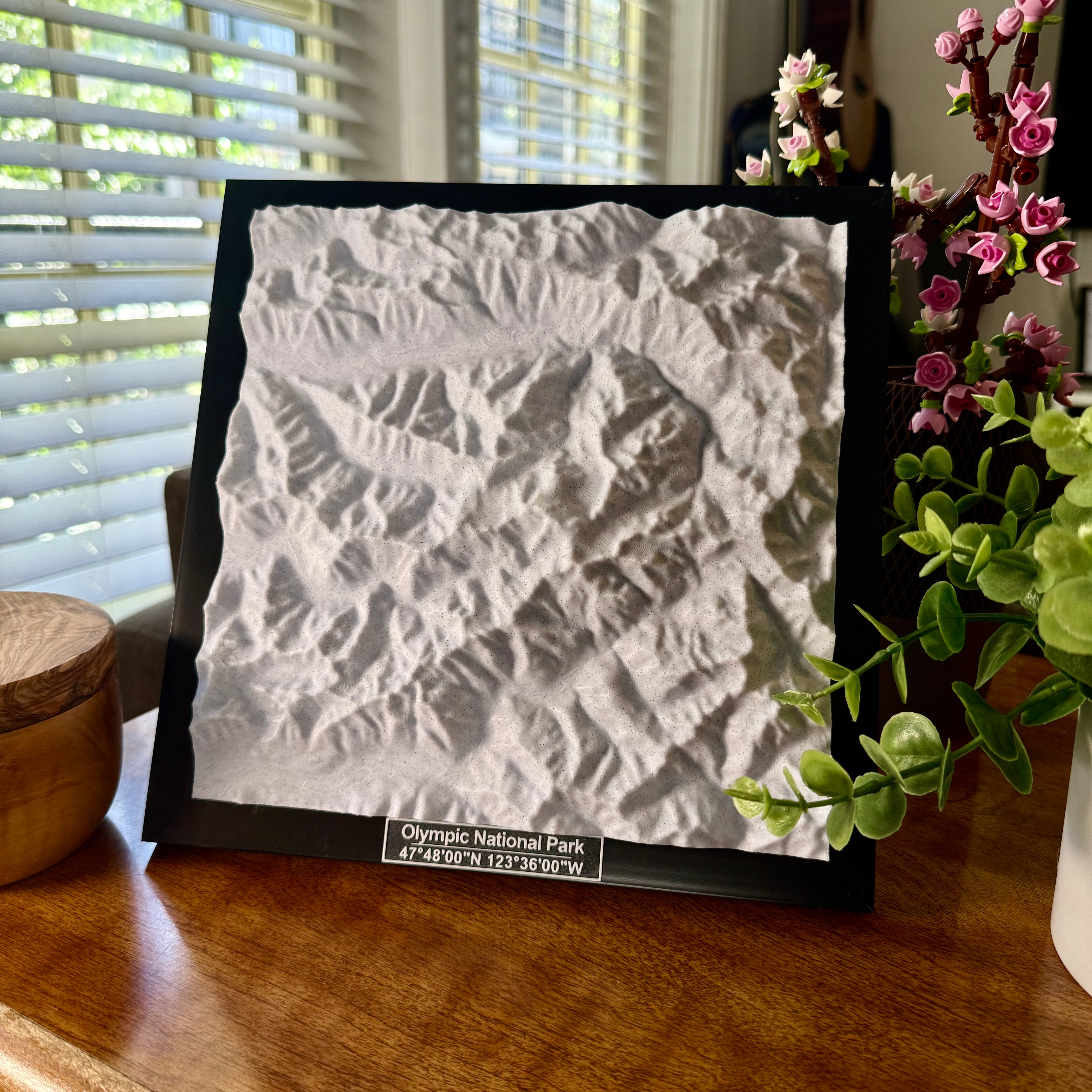 Olympic National Park 3D Topographic Model