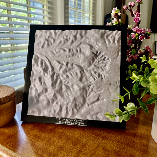 Providence Canyon State Park 3D Topographic Model