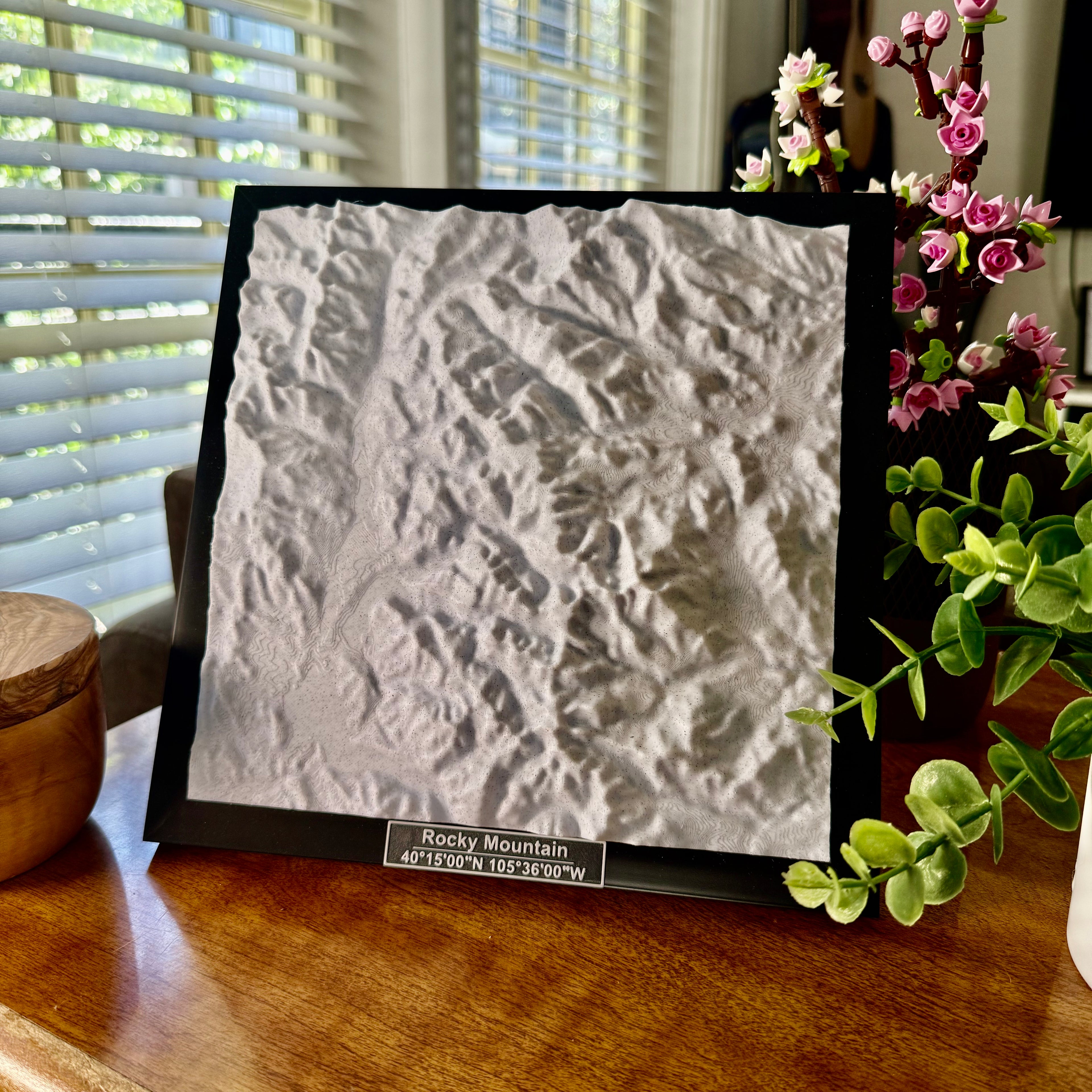 Rocky Mountain National Park 3D Topographic Model