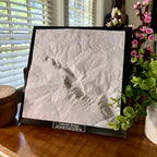 Tallulah Gorge State Park 3D Topographic Model