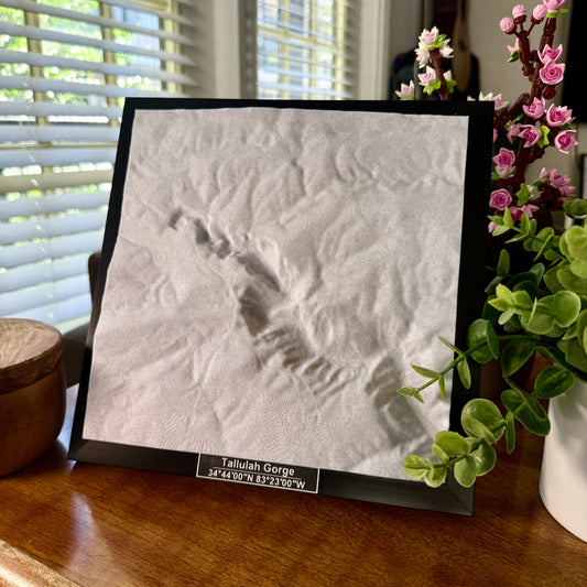 Tallulah Gorge State Park 3D Topographic Model